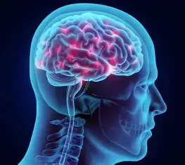 MemoryVitali result no.1