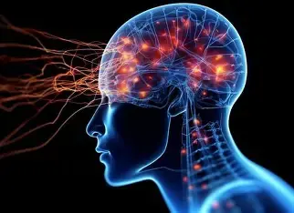 MemoryVitali transformation no.3